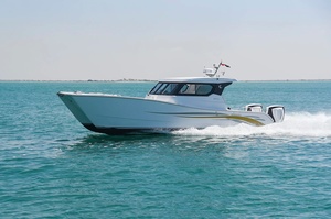 Silvercraft SilverCat34 HT