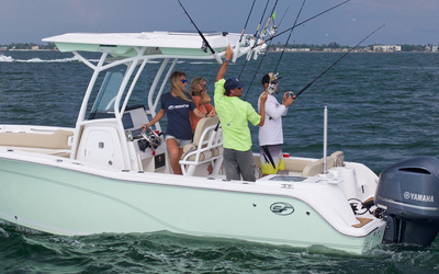 Sea Fox 248 Commander