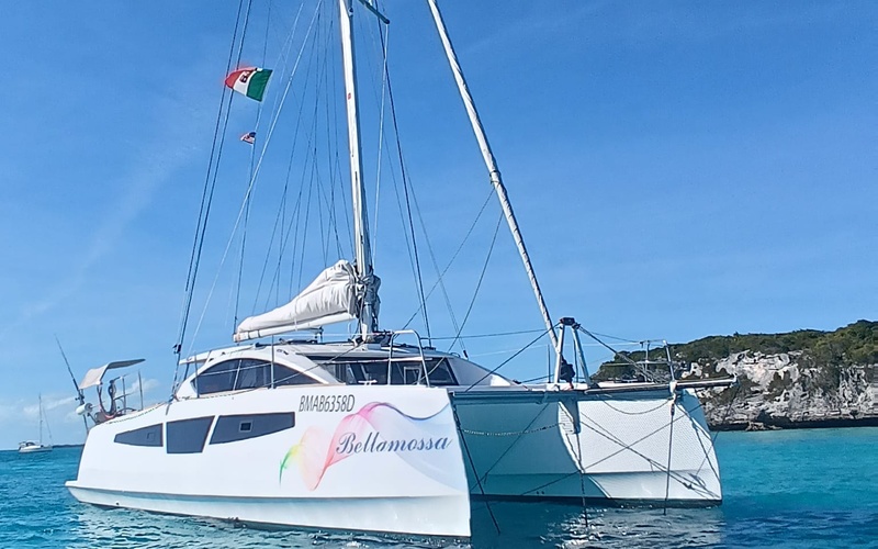 C-Cat 38