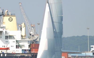 African Cats Geencat 605