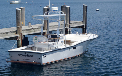 Dusky 252 Fisherman's Cuddy