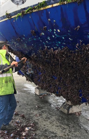 Beauty salon for &laquo;Esmeralda&raquo; 