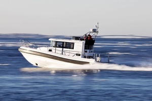 Paragon 31 Flybridge