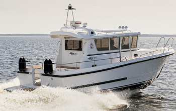 Sargo 31 (2008)
