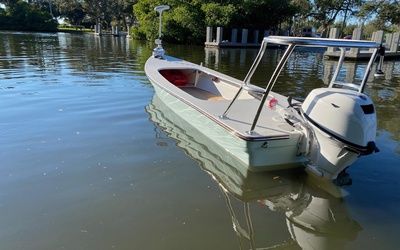 Dragonfly 15' Marsh Hen