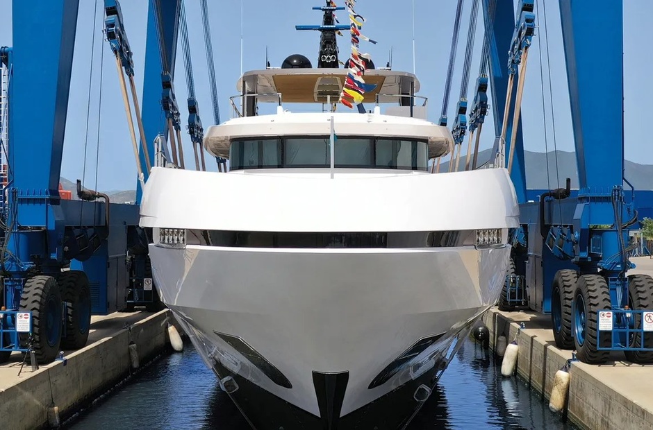 Mangusta Dokinha