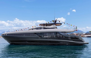 Mangusta Never Give Up