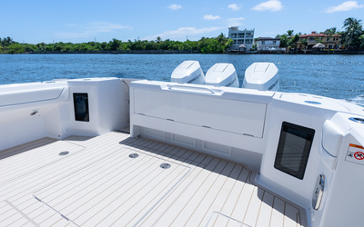 Intrepid  41 Panacea