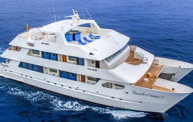 Custom Boats Treasure