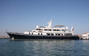 Toughs Shipyard Goose