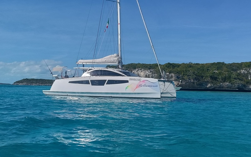 C-Cat 38