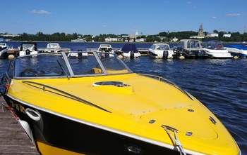 Velvette 25 Euphoria (2011)
