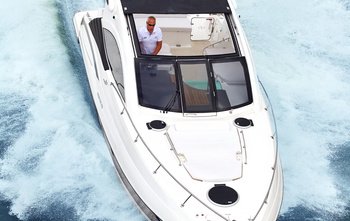 Schaefer 375 HT (2019)