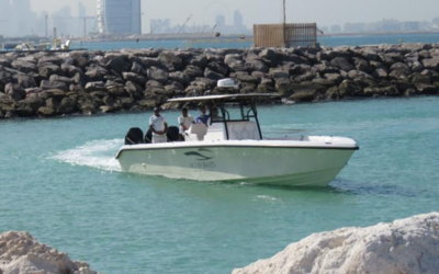 Ocean Boats 39S