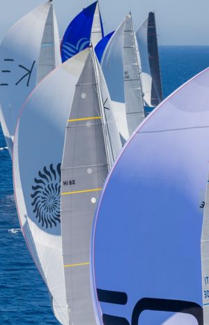 In the natural habitat