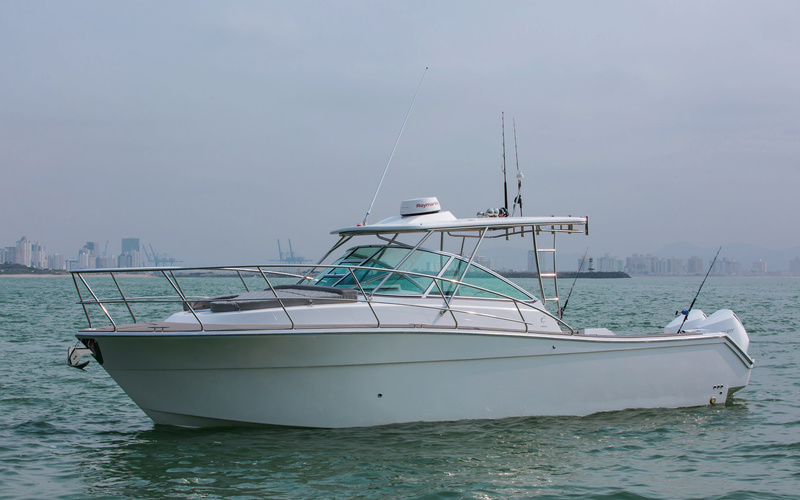 Sedna  XF 320