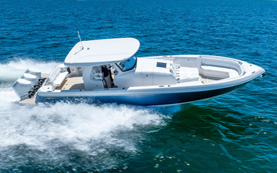 Intrepid  41 Panacea