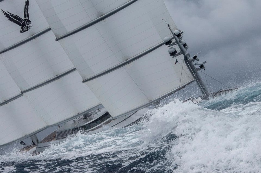 Maltese Falcon © Carlo Borlenghi