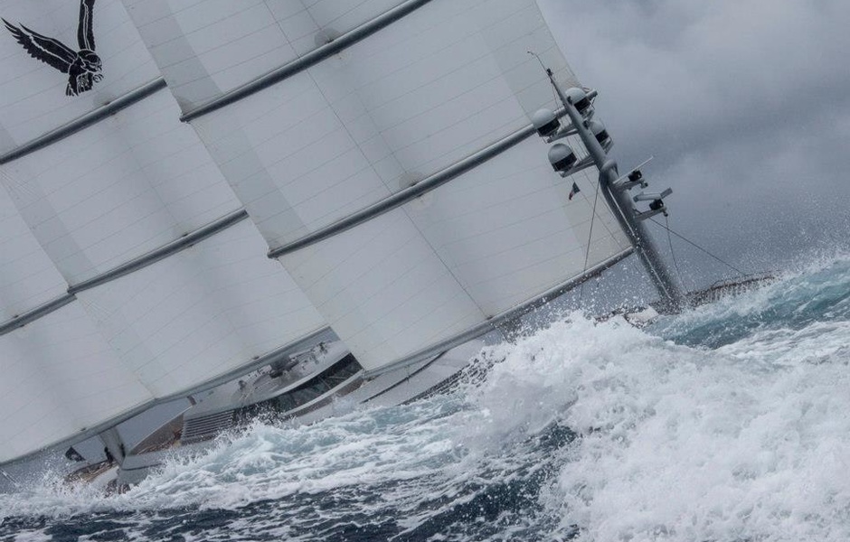 Maltese Falcon © Carlo Borlenghi