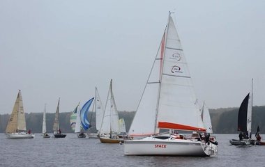 Maxus 24