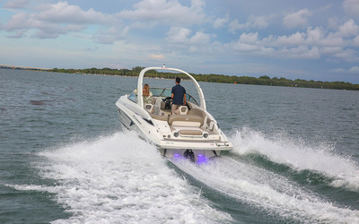 Crownline 280 SS
