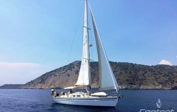 Contest 44CS (2002)