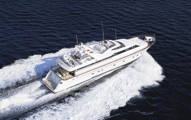 Falcon Absolute King