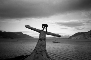 Cross the Atlantic inside a whale