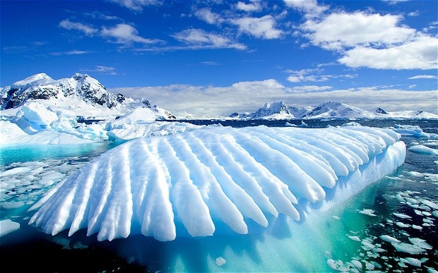 Icees of Antarctica