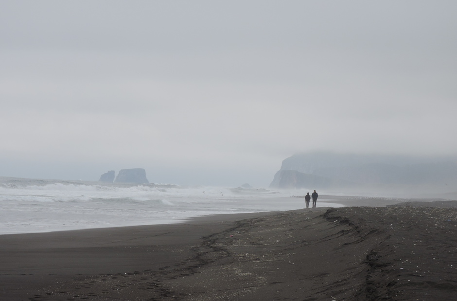 Environmental disaster in Kamchatka: who and what poisoned the Pacific Ocean? 