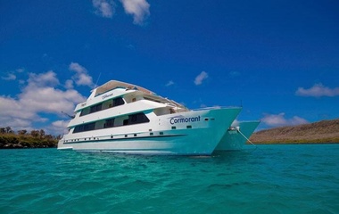 Custom Boats Cormorant