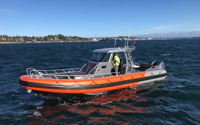 Life Proof 31 Hard Top