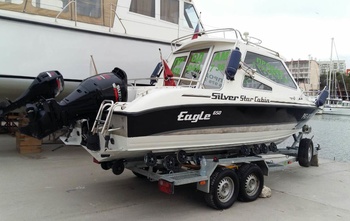 Silver Eagle Star Cabin 650