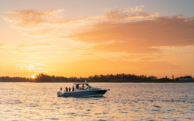 Boston Whaler 325 Conquest