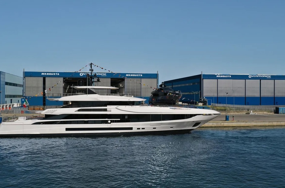 Mangusta Dokinha