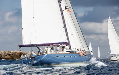 Oyster Bare Necessities