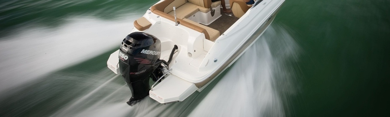 Outboards are easy to maintain, fuel efficient and manoeuvre well in shallow waters.