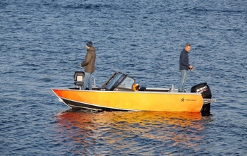 Realcraft 500 Fish (2022)