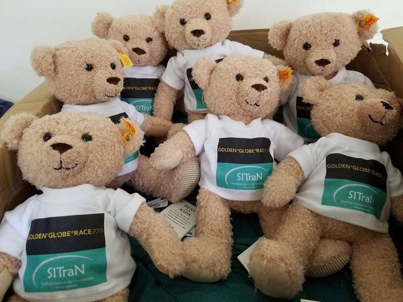 Teddy bear Abilash (center front row) before the start