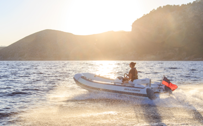 Williams SPORTJET 395