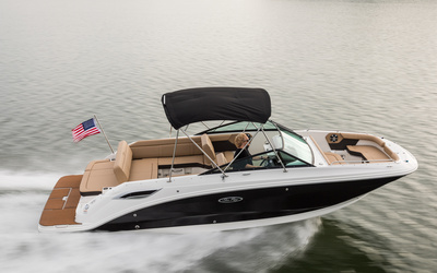 Sea Ray SDX 250