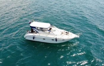 gobbi 315SC (2003)