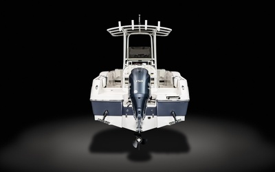 Robalo R200