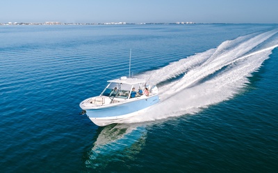 Blackfin 302DC