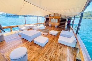 Premier Pontoons Sunspree RF