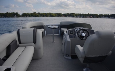 Sylvan Mirage Fish 8522