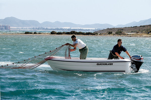 Quicksilver Fish 410