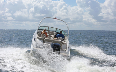 Crownline 290 XSS