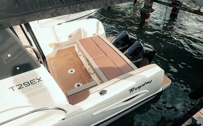 Bayliner T29 Explorer