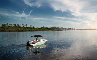 Boston Whaler 160 Super Sport
